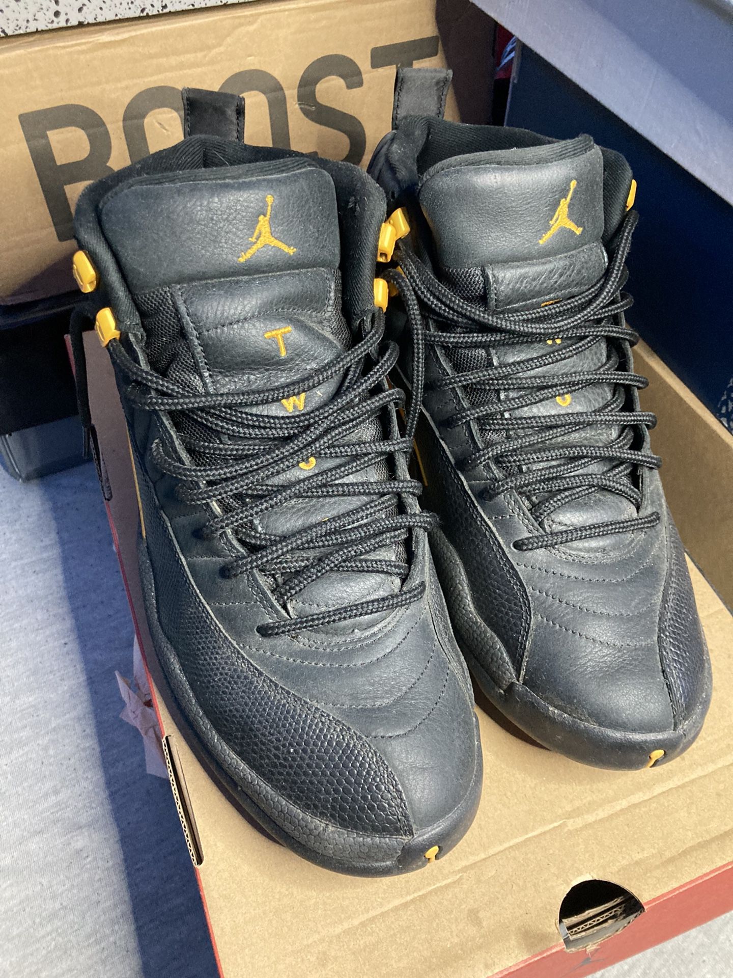 Jordan 12 Taxi