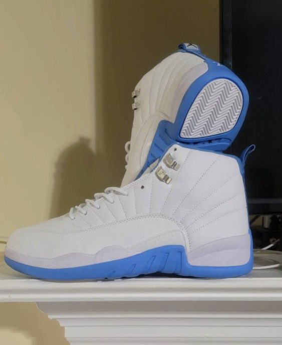 Air Jordan 12
