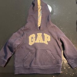 GAP Toddler Hoodie $10