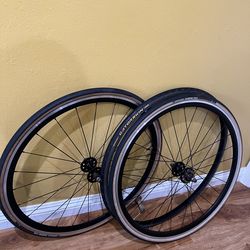 DT Swiss track, fixie wheel set