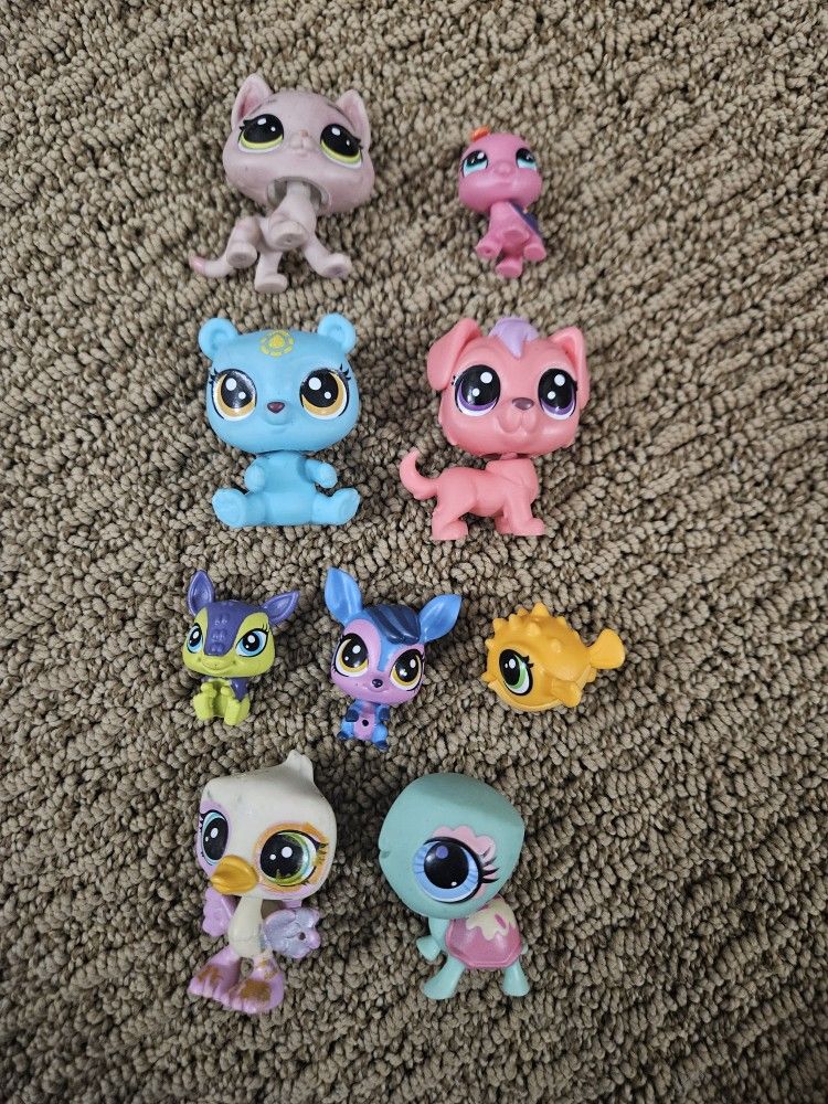 Lps Lot