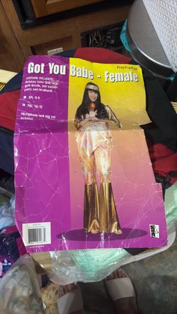 Got you babe costume