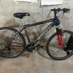 Ranger Schwin Mountain Bike 