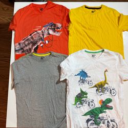 Spotted zebra Kids Dino Graphic Short Sleeve Tees
