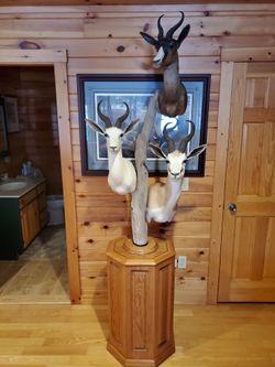 Springbok Pedestal Mount