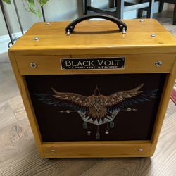 Black Volt Hawk Handwired Tube Amp