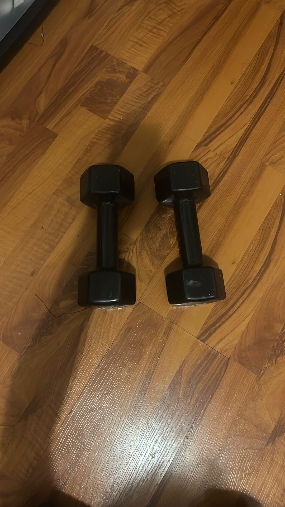 15 Pound Dumbells