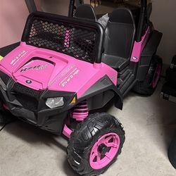 Polaris RZR 900 Pink