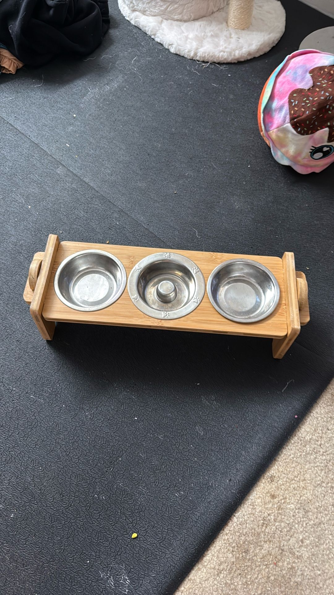 Kitten Cat Bowl