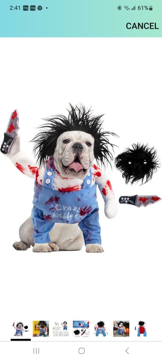 Small Dog Costume