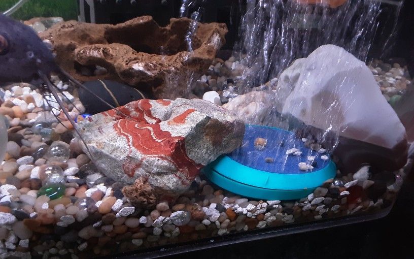 AQUARIUM 90 GALLON ACRILIC TANK WITH ALL SUPPLIES. WE ARE DOWNSIZING.