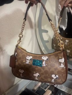 Coach bag