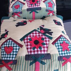 2 Throw Pillows 
