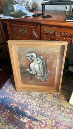 Framed Owl 3D Wall Art