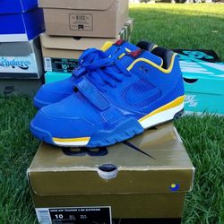 Nike sb trainer 2 supreme