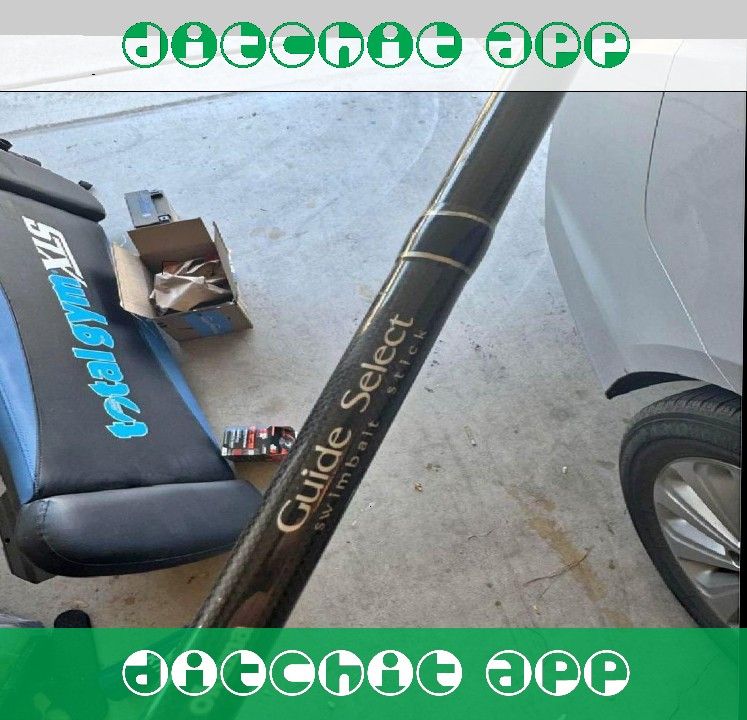 Fishing Rod with Bait – Perfect for Angling Enthusiasts than few