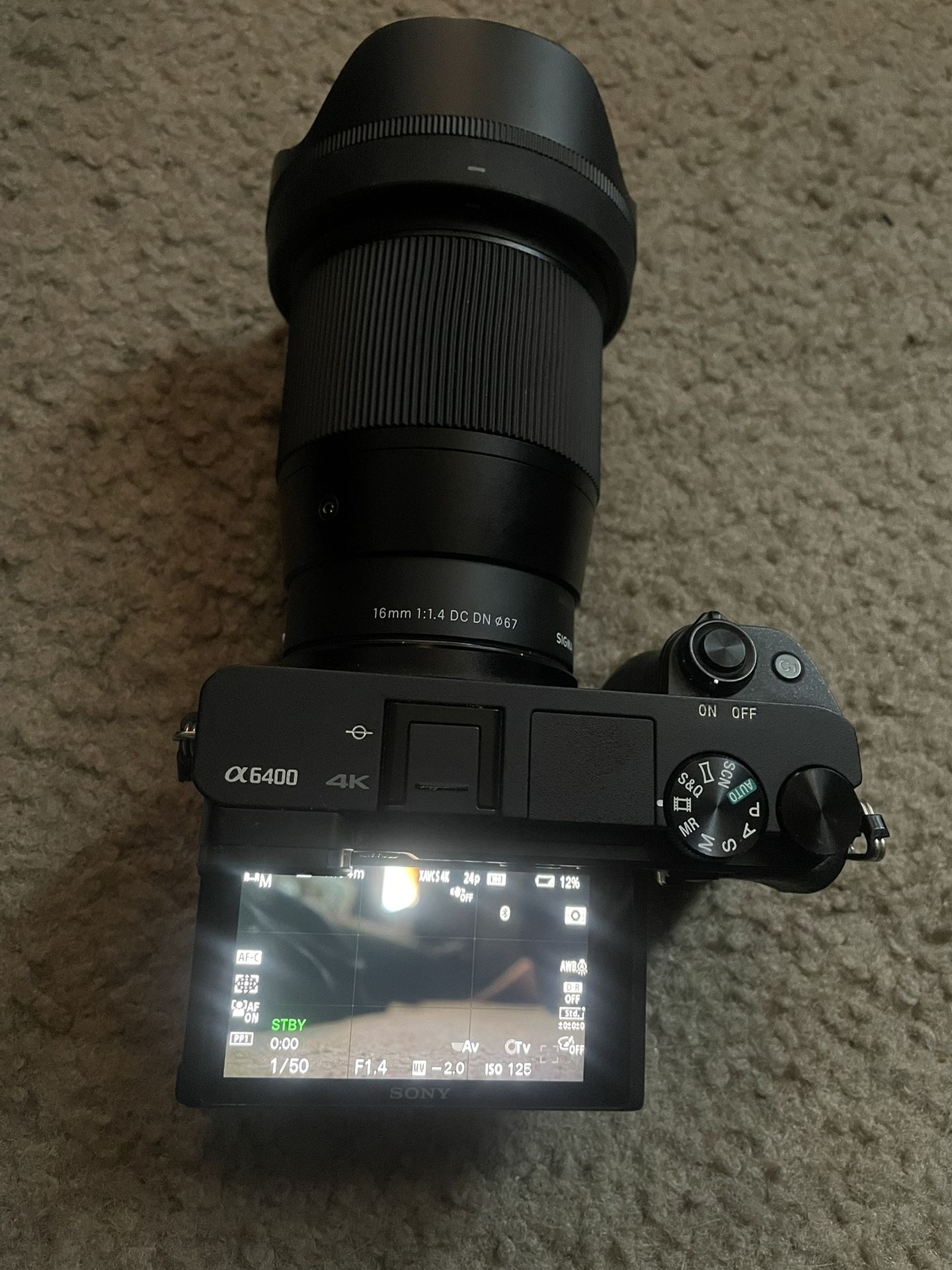 Sony a6400 w/Sigma lense