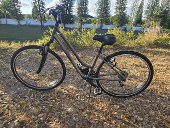 Ascend Hybrid Bike