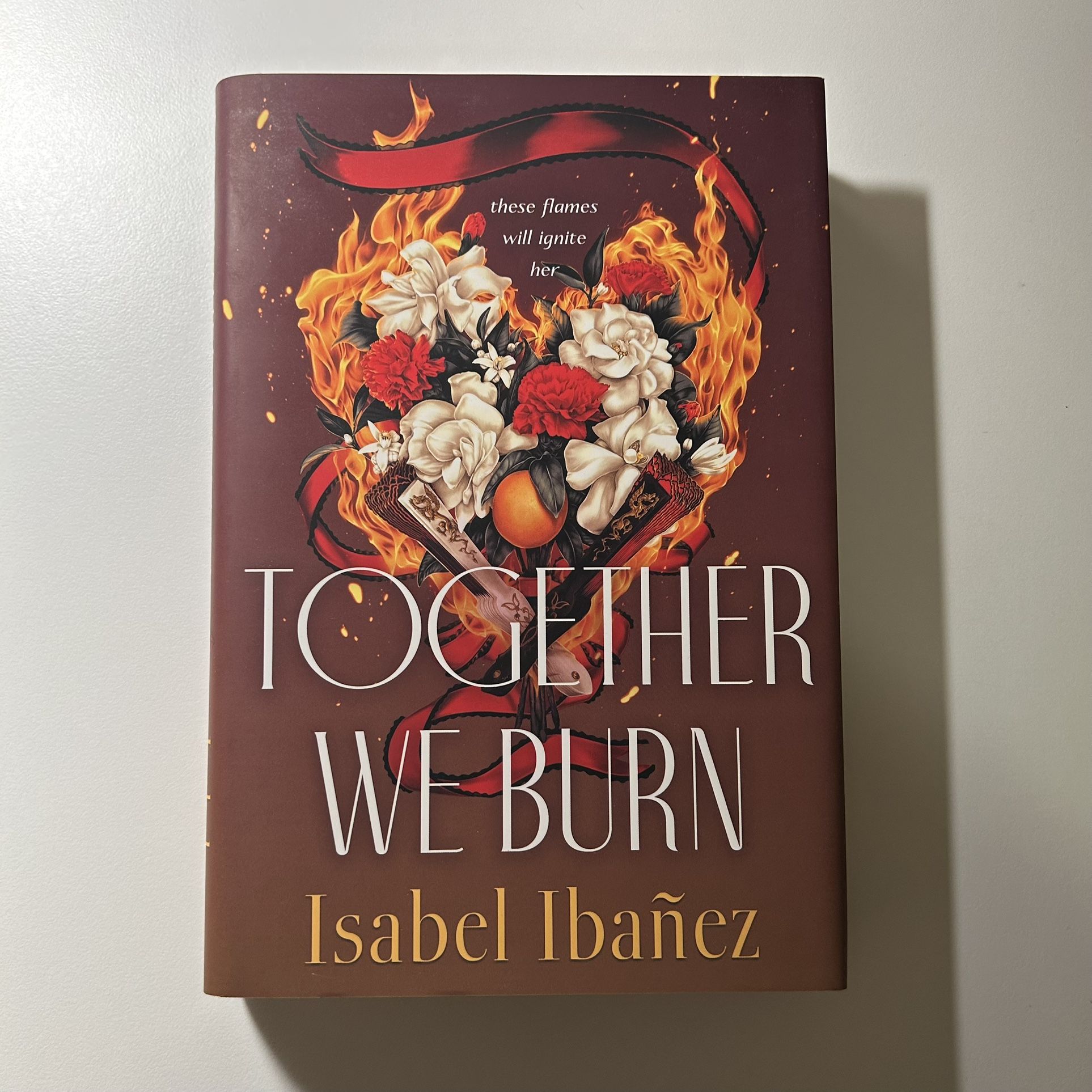 Together We Burn by Isabel Ibañez