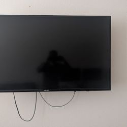 Samsung 48 in LED Smart TV