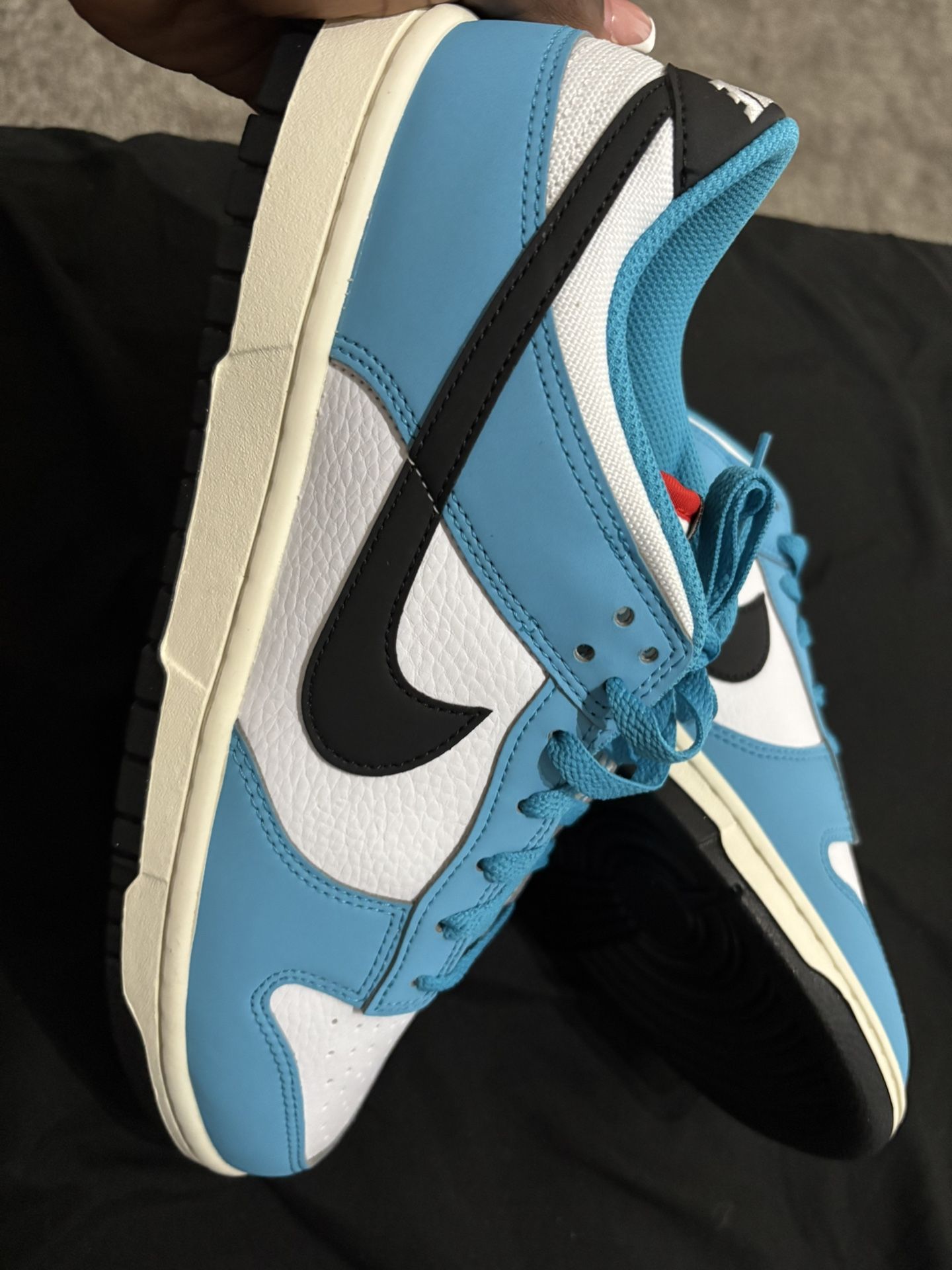 Nike Men’s Dunks N7