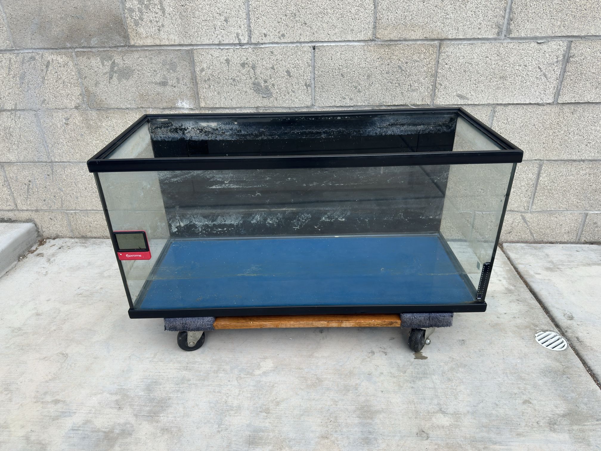 Fish Tank