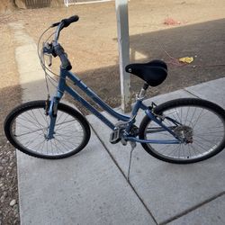 Blue Bike 