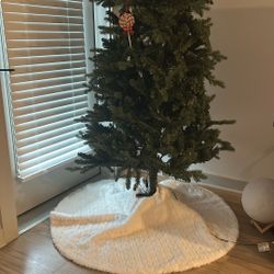 Christmas Tree For Next Year