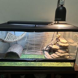 40 Gal Front Opening Reptile Tank 