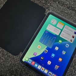 Apple iPad 10th Generation With Case(Check Pics)