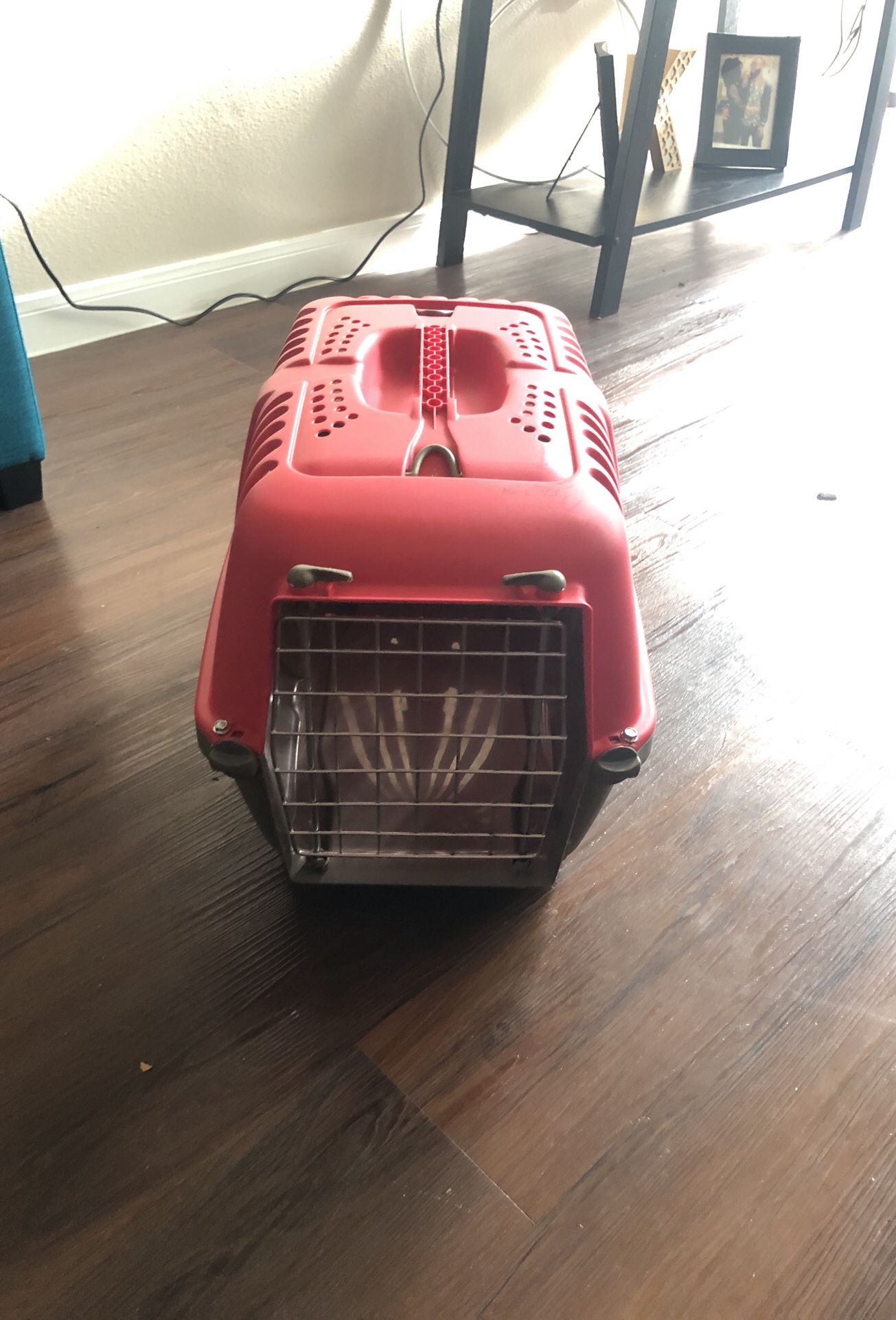 Small Dog Travel Crate