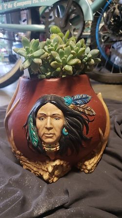 Pot with succulent