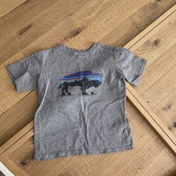 Kids Patagonia T Shirt Size XS (6/7?)