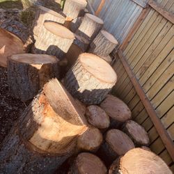 Fresh cut evergreen rounds 