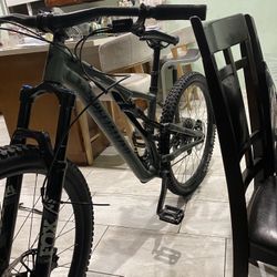 Specialized stumpjumper