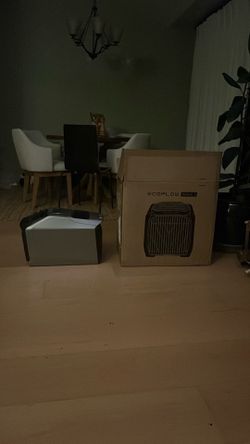 EcoFlow Wave 2 with all Accessories