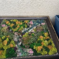 Beautiful Scenery Artwork 