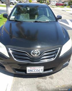 2010 Toyota Camry