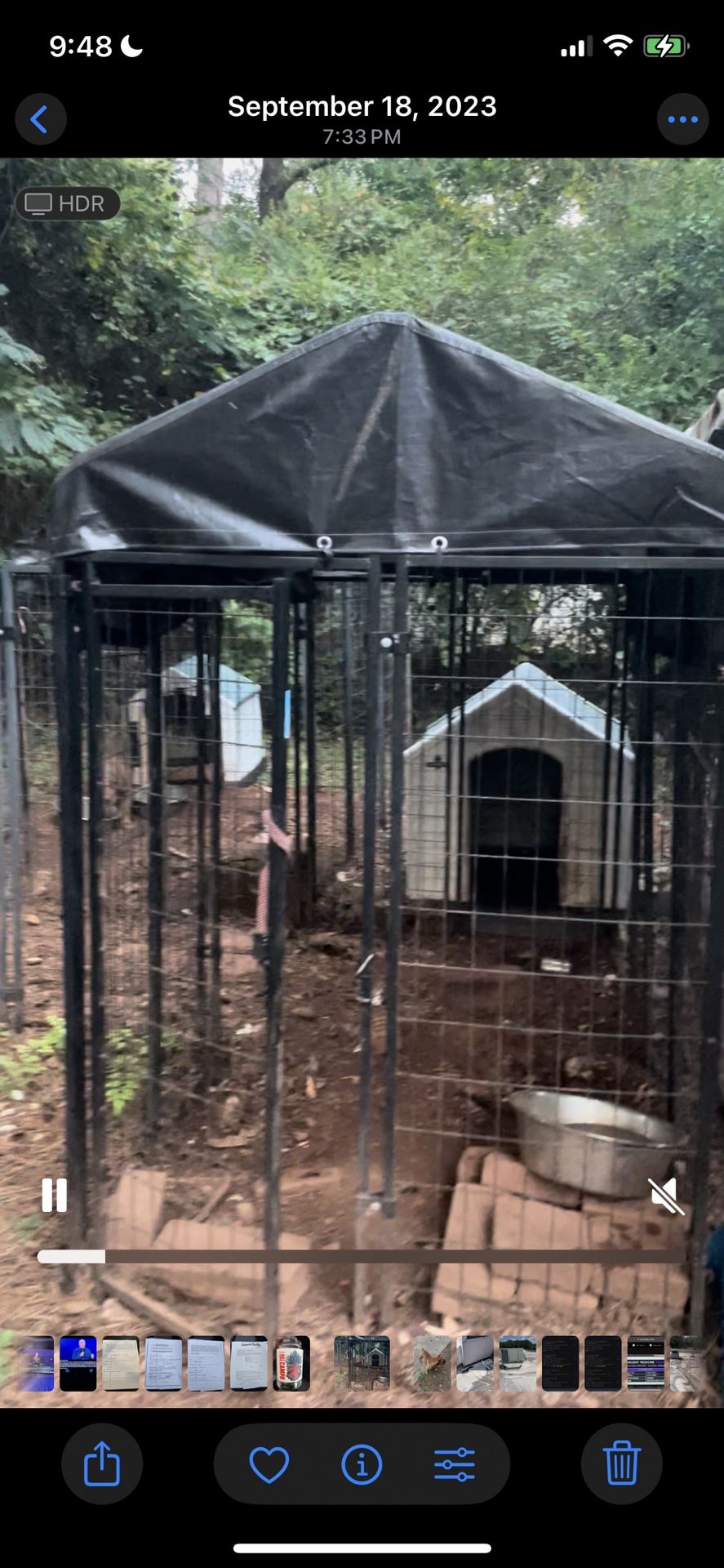 Kennel