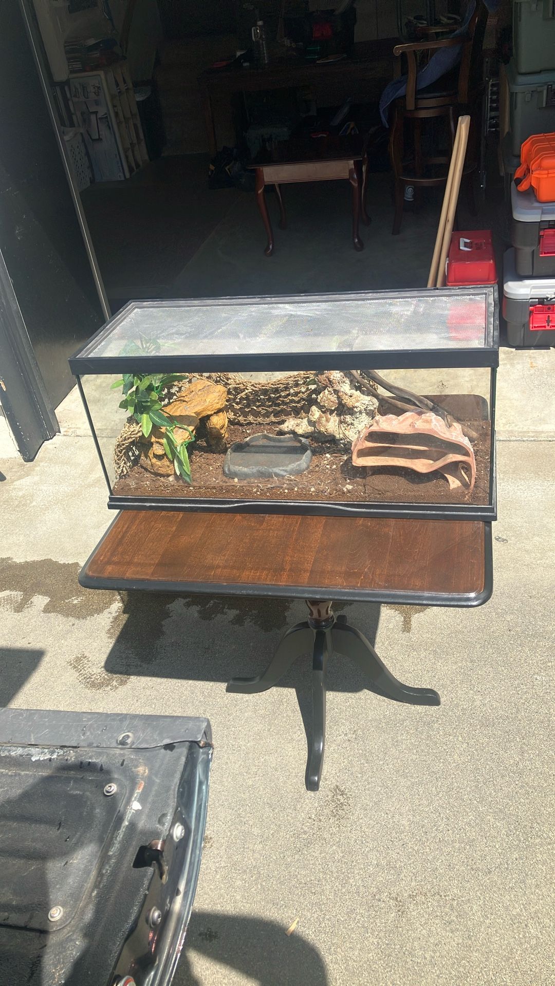 Great Aquarium (for Reptile Or Fish)