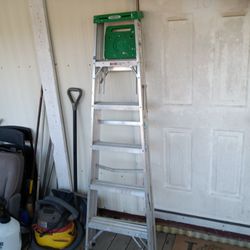 6 Foot Ladder