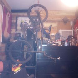 STAATS  PRO 20in. BMX