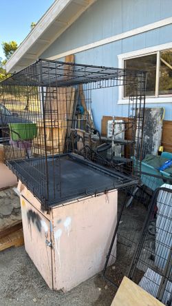 Large dog crate