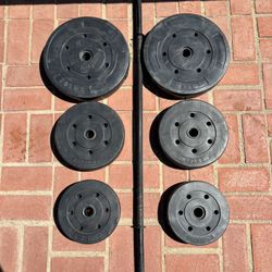 Olympic Weights - Weights - Weights And Barbell - Olympic Plates - Gym Equipment  - Barbell - Dumbells  