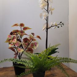 Fake Plant Set
