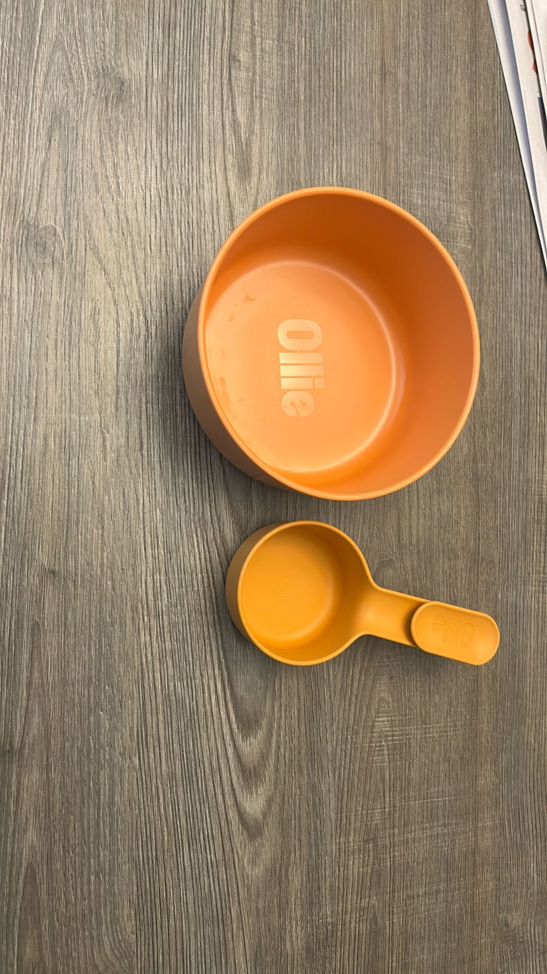 Ollie New Dog Bowl And Measuring Cup
