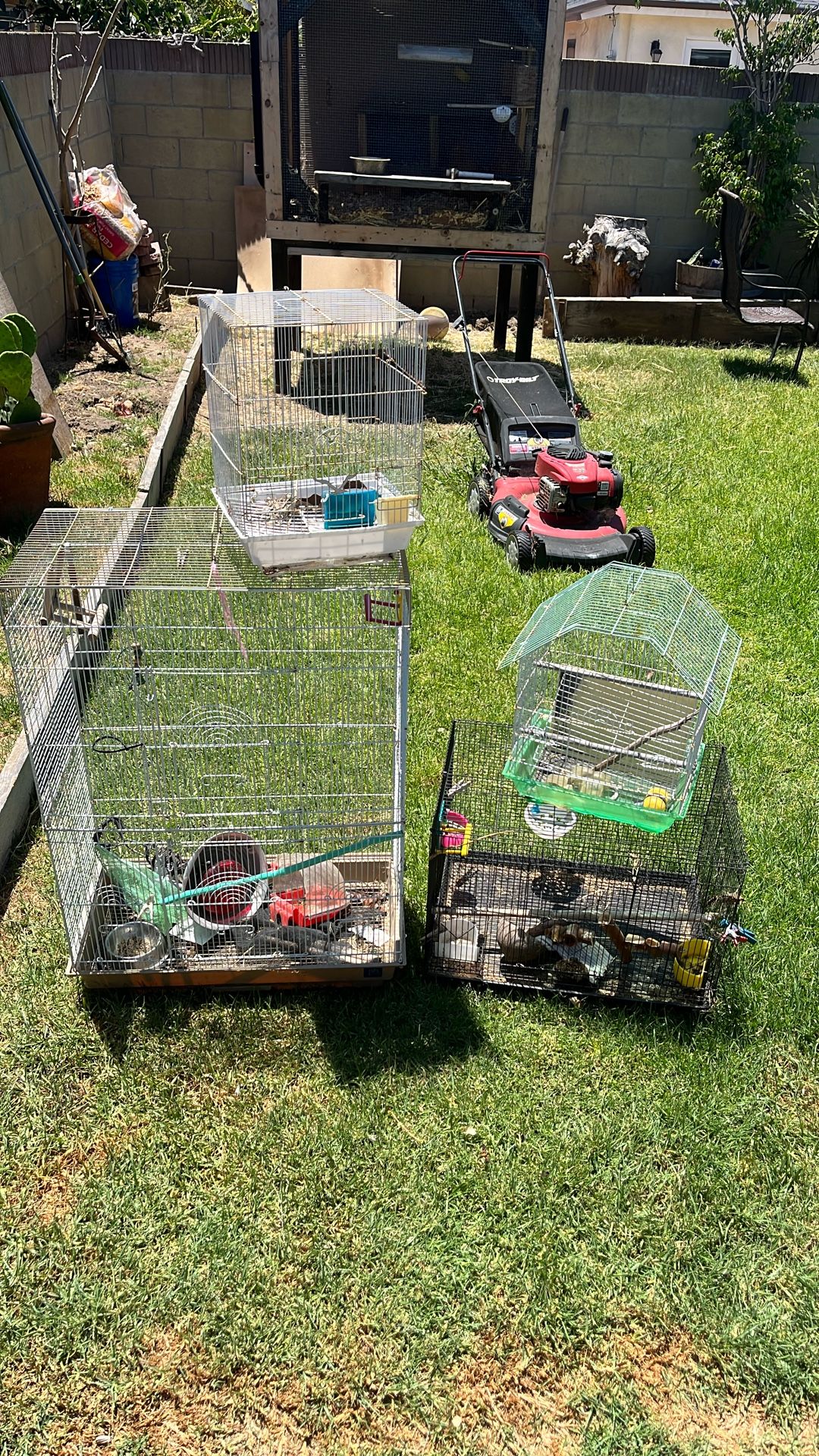 Bird Cages