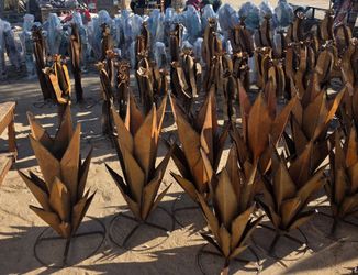 🌵 Rustic Cactus Creations – Agaves, Saguaros & Ocotillos
