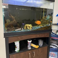 65 Gallon Tank with stand