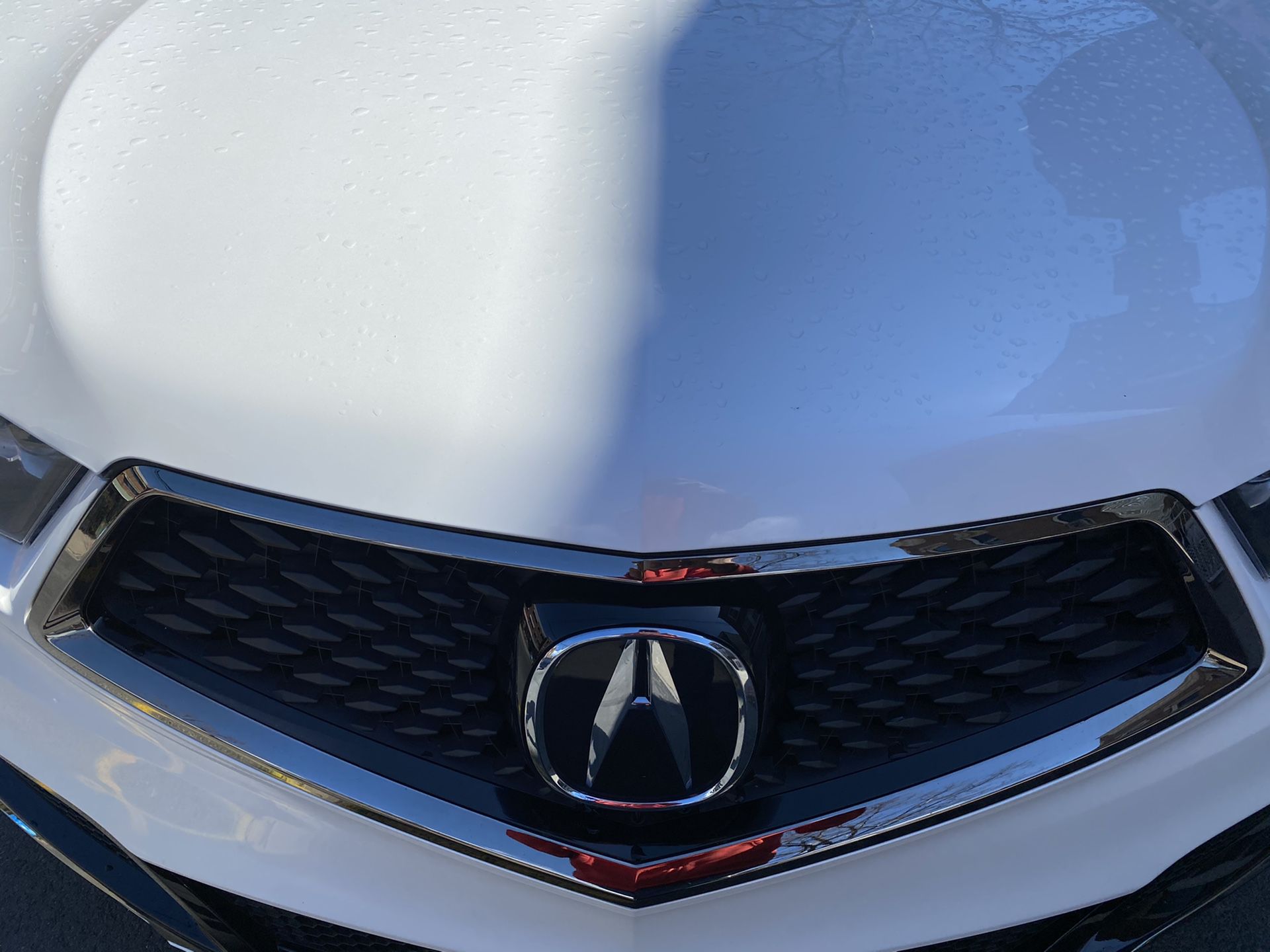 2019 Acura MDX aspec hood headlights